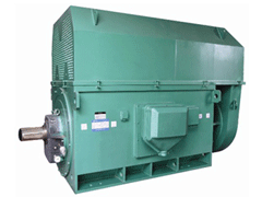 YJTFKK4004-2YKK系列高压电机