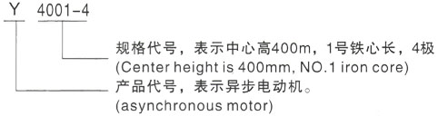 西安泰富西玛Y系列(H355-1000)高压YJTFKK4004-2三相异步电机型号说明