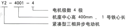 YR系列(H355-1000)高压YJTFKK4004-2三相异步电机西安西玛电机型号说明